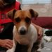 Ruth Hamblin - Facebook