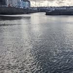 Ruth Hamill - @schrodinger_ruth - Instagram