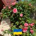 Ruth Hands - Facebook