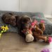 Ruth Haney - Facebook