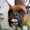 Ruth Hardman - @ruthhardman_8994 - TikTok