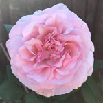 Ruth - @ruth_h_hardman - Instagram