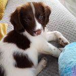 Ruth Hardy - @ruthhardy2005 - Instagram