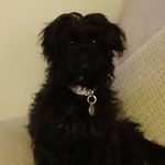 Ruth Hardy - @hardy_ruth - Instagram