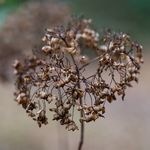 Ruth Hardy - @ruthhardyphotography - Instagram