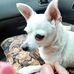 Ruth Harrold - Facebook