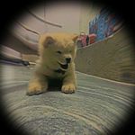 HASHRUTH - @hashruth__1711 - Instagram