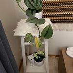 Ruth Grete Haugen - @ruthhaugen - Instagram