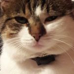 Ruth Fankhauser - @fankhauserruth - Instagram