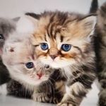 Ruth Häusermann - @ruthhausermann - Instagram