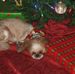 Ruth Heatherly - Facebook