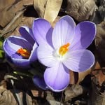 Adruth Hedrick Shockley - @adruthhedrick - Instagram