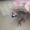 ruthiehedrick755 - @ruthiehedrick755 - TikTok
