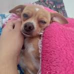 Heidy Ruth - Facebook