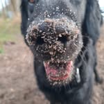 Ruth Helmdach - @helmdachruth - Instagram