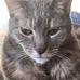 Ruth Helmer - Facebook