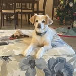 Ruth White Helm - @ruthannhelm - Instagram