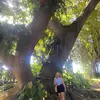 ruthiehelms - @ruthiehelms - TikTok
