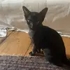 Ruth_H - @userruthherbert - TikTok