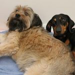Ruth Herbert - @hansieandcara - Instagram