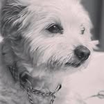 Ruth Herron - @herron71 - Instagram
