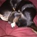 Ruth Hilborn - Facebook