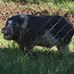 Ruth Ann Hoge - Facebook