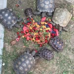 Ruth Hollinger Shan - @space4mom - Instagram