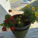 Ruth Holter - Facebook