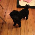 Ruth Horton - @ruthhorton581 - Instagram