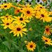 Ruth Hostetler - Facebook