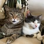 Huckleberry & Ruth - @huckandruth - Instagram