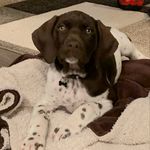 Ruth Inglis - @ruth_inglis - Instagram