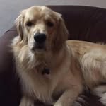 Ruth Irvine - @irvine.ruth - Instagram