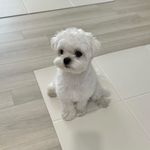 @ruthjohnston518sn - Instagram