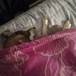 Ruth Joyce - @ruth.joyce.771 - Instagram