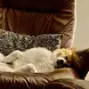 CamCam7173 - @ruth.kaye03 - TikTok