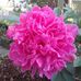 Ruth Keim - Facebook