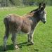 Ruth Keim - Facebook