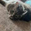 ruth_kendrick_ - @ruth_kendrick_ - TikTok