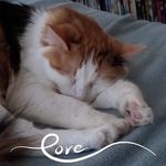 Ruth Kendrick Machado - @ruthandrosiecat - Instagram