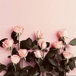 khanyisa - @ruth_khanyi - Instagram