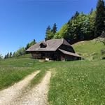 ruth khan - @ruthkhan5669 - Instagram