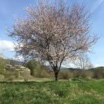 Ruth Khan - @ruthkhan4948 - Instagram