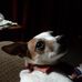 Ruth Kinney - Facebook
