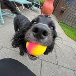 Ruth Kitchen - @kitchen.ruth - Instagram