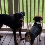 Ruth Kittle - @ruthk54 - Instagram