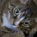 Ruthann Kling - Facebook