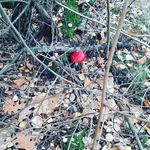 JG - @ruthundknuth - Instagram