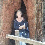 Ruth35’asl - @ruthkovacs2008 - Instagram